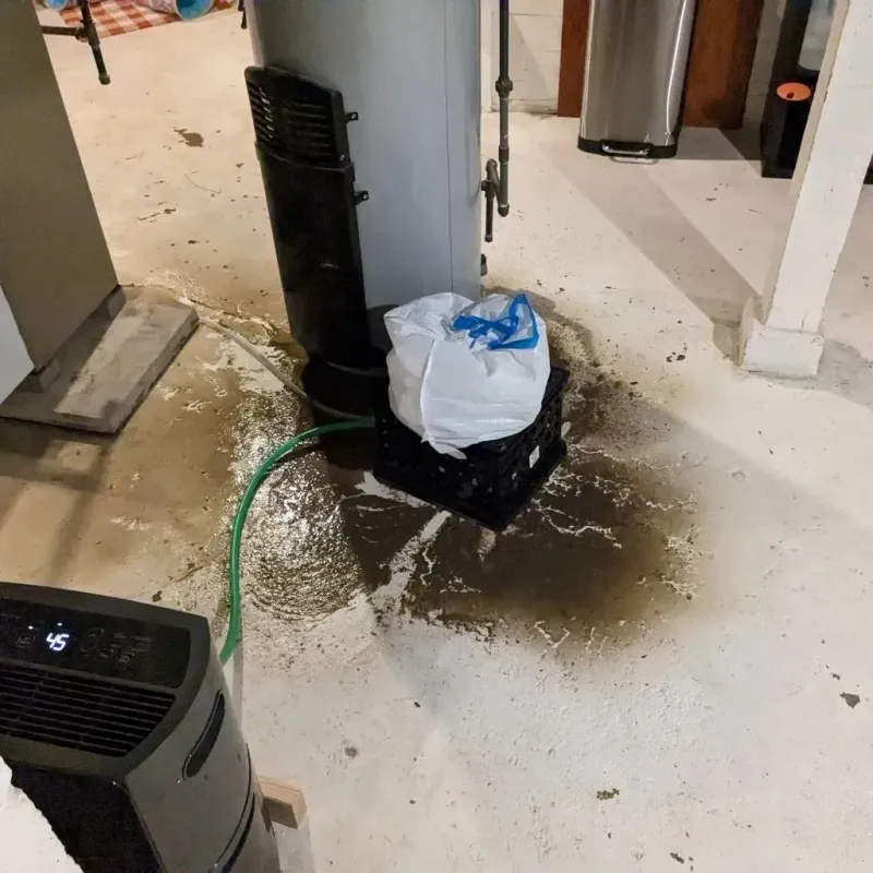 Sewage Backup Cleanup Service in Bairoa, PR
